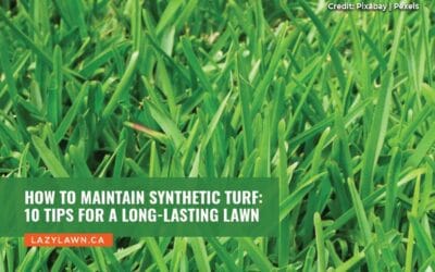 How to Maintain Synthetic Turf: 10 Tips for a Long-Lasting Lawn