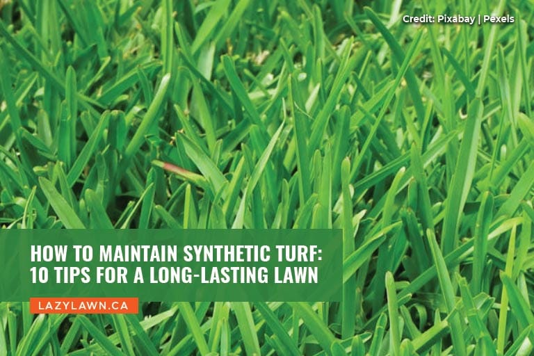 How to Maintain Synthetic Turf: 10 Tips for a Long-Lasting Lawn