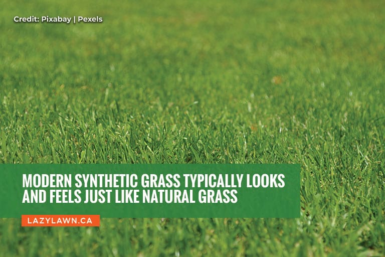 Modern synthetic grass typically looks and feels just like natural grass