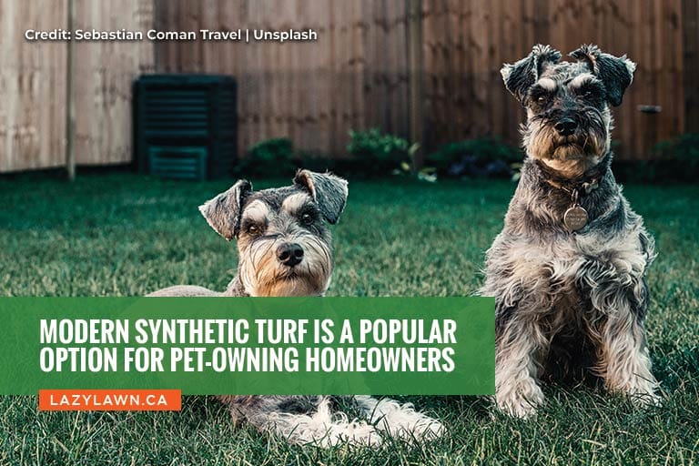 Modern synthetic turf is a popular option for pet-owning homeowners