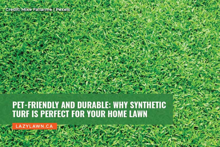 Pet-Friendly and Durable: Why Synthetic Turf is Perfect for Your Home Lawn