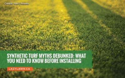 Synthetic Turf Myths Debunked: What You Need to Know Before Installing