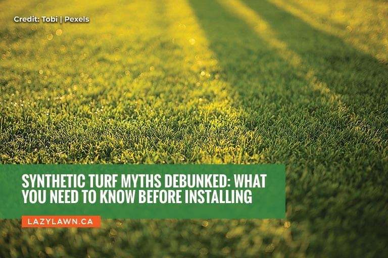 Synthetic Turf Myths Debunked: What You Need to Know Before Installing
