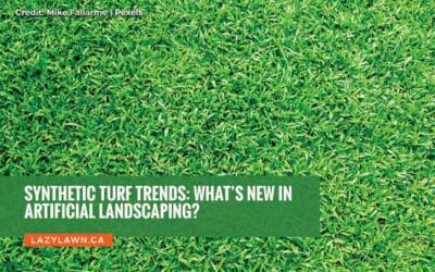Synthetic Turf Trends: What’s New in Artificial Landscaping?