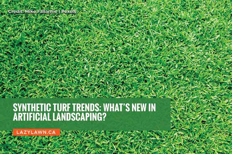 Synthetic Turf Trends: What’s New in Artificial Landscaping?