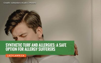 Synthetic Turf and Allergies: A Safe Option for Allergy Sufferers