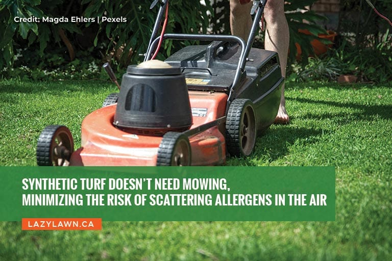Synthetic turf doesn’t need mowing, minimizing the risk of scattering allergens in the air