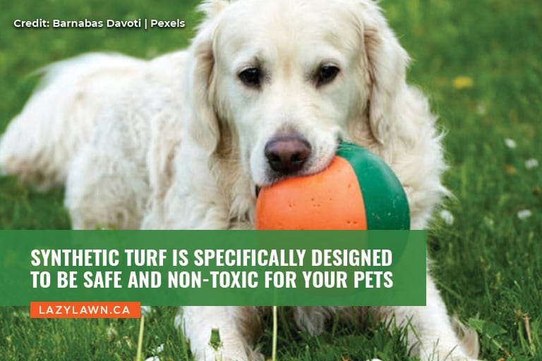 Synthetic turf is specifically designed to be safe and non-toxic for your pets