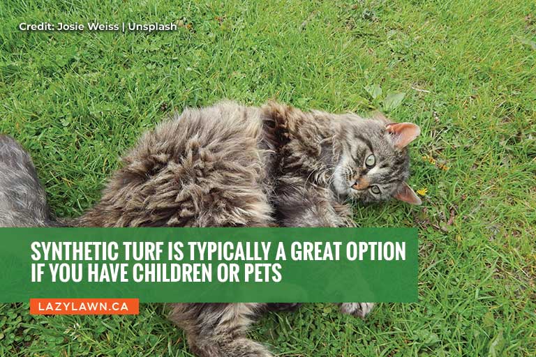 Synthetic turf is typically a great option if you have children or pets