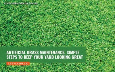Artificial Grass Maintenance: Simple Steps to Keep Your Yard Looking Great
