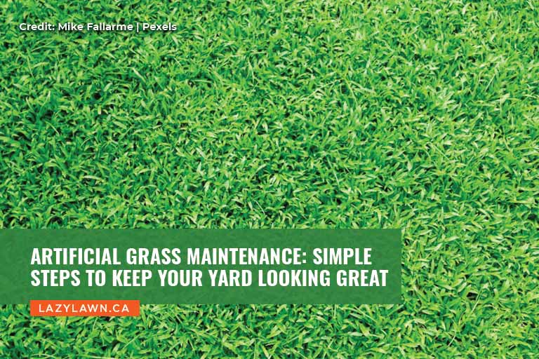 Artificial Grass Maintenance: Simple Steps to Keep Your Yard Looking Great