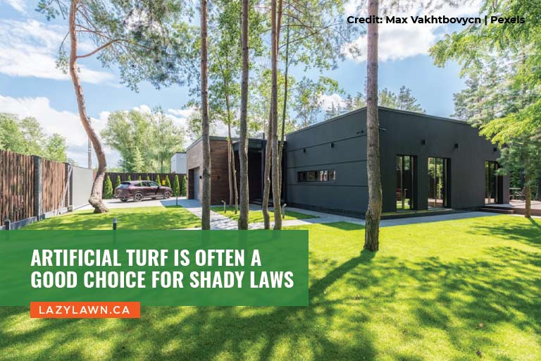 Artificial turf is often a good choice for shady laws