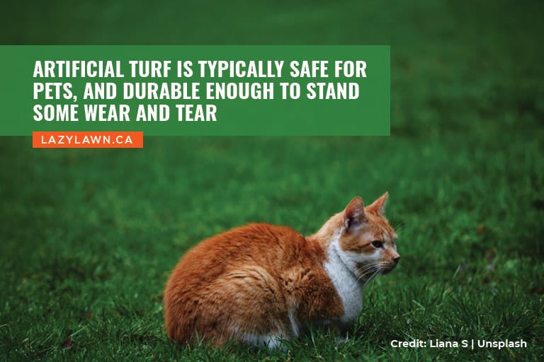 Artificial turf is typically safe for pets, and durable enough to stand some wear and tear