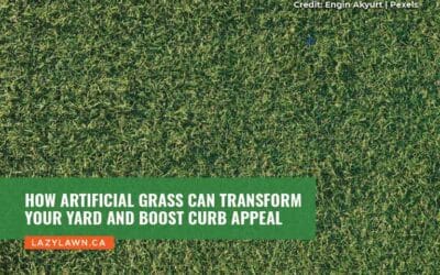 How Artificial Grass Can Transform Your Yard and Boost Curb Appeal