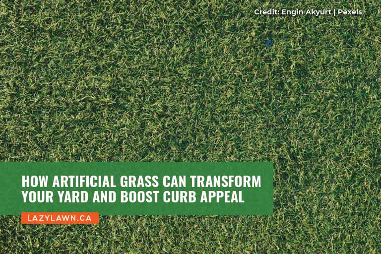 How Artificial Grass Can Transform Your Yard and Boost Curb Appeal