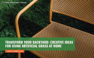 Transform Your Backyard: Creative Ideas for Using Artificial Grass at Home