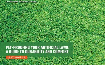 Pet-Proofing Your Artificial Lawn: A Guide to Durability and Comfort
