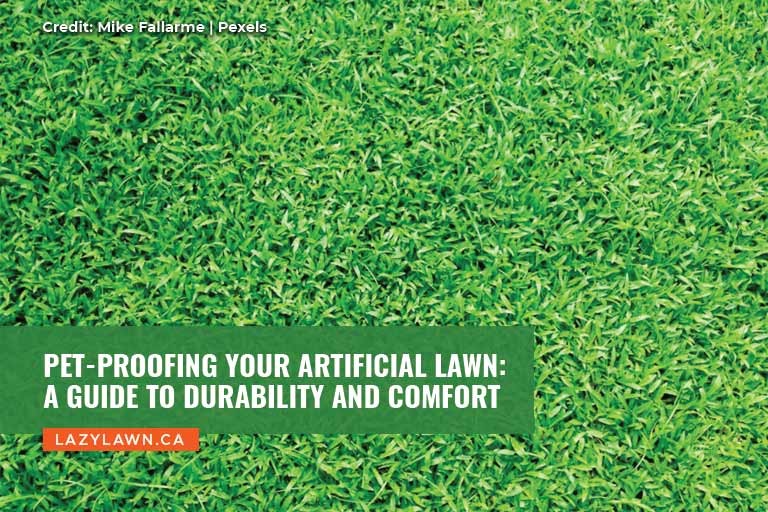 Pet-Proofing Your Artificial Lawn: A Guide to Durability and Comfort