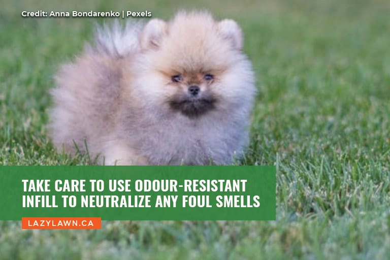 Take care to use odour-resistant infill to neutralize any foul smells