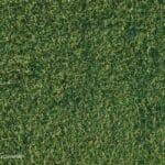 10 Clear Signs It’s Time to Replace Your Artificial Turf