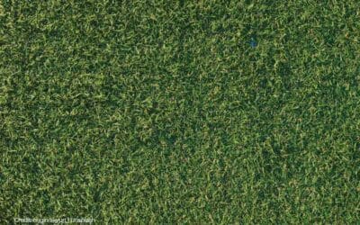 10 Clear Signs It’s Time to Replace Your Artificial Turf