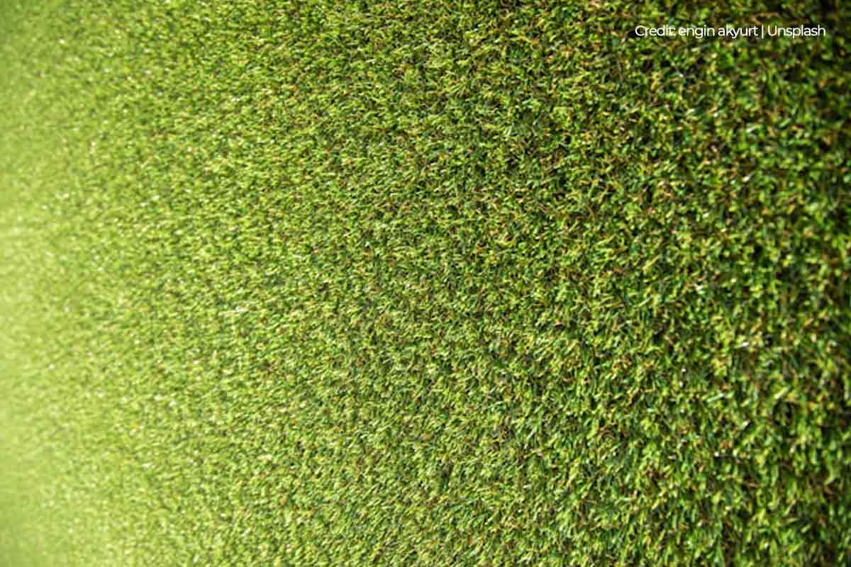 Artificial grass’ synthetic nature eliminates the pollen and weeds that cause allergies