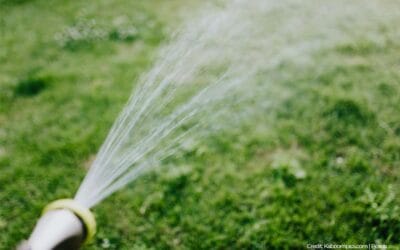 Save Water and Stay Green: The Eco-Friendly Benefits of Artificial Grass