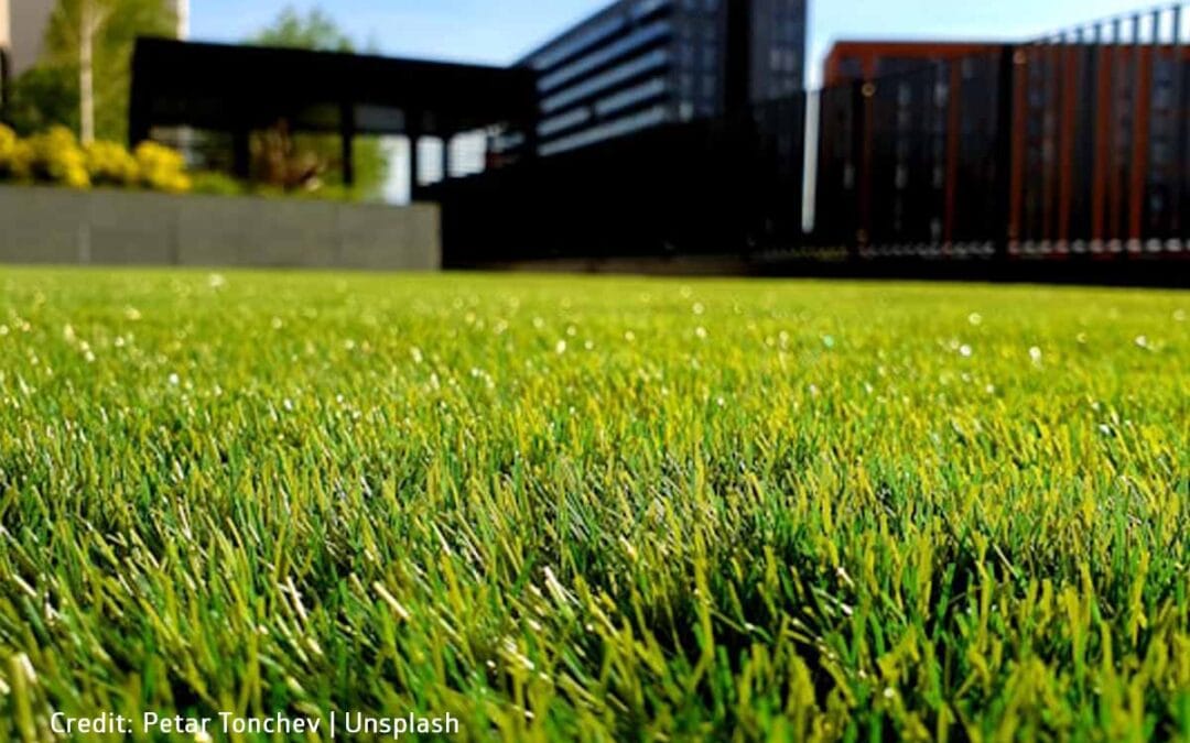Artificial Grass Care: Tips and Tricks for Long-Lasting Beauty