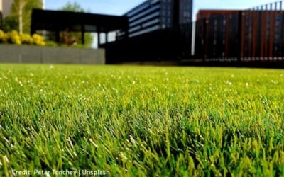 Artificial Grass Care: Tips and Tricks for Long-Lasting Beauty