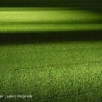 Artificial Grass Maintenance: Common Mistakes and How to Avoid Them