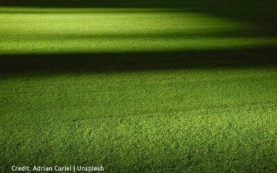 Artificial Grass Maintenance: Common Mistakes and How to Avoid Them