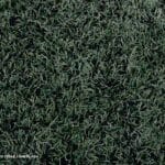 Beyond the Backyard: Unexpected Uses for Artificial Turf