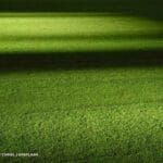 Choosing the Right Synthetic Turf: A Comprehensive Buyer's Guide