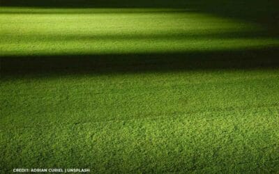 Choosing the Right Synthetic Turf: A Comprehensive Buyer’s Guide