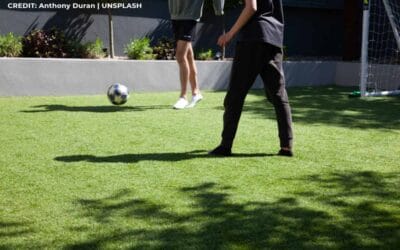 Game on Indoors: Creating Play Areas with Artificial Turf