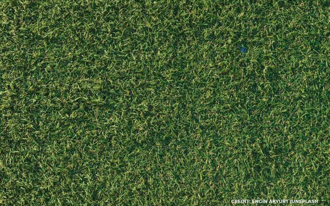 Maintaining Your Synthetic Lawn: Tips and Tricks for Longevity