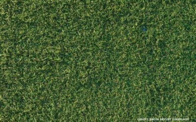 Maintaining Your Synthetic Lawn: Tips and Tricks for Longevity