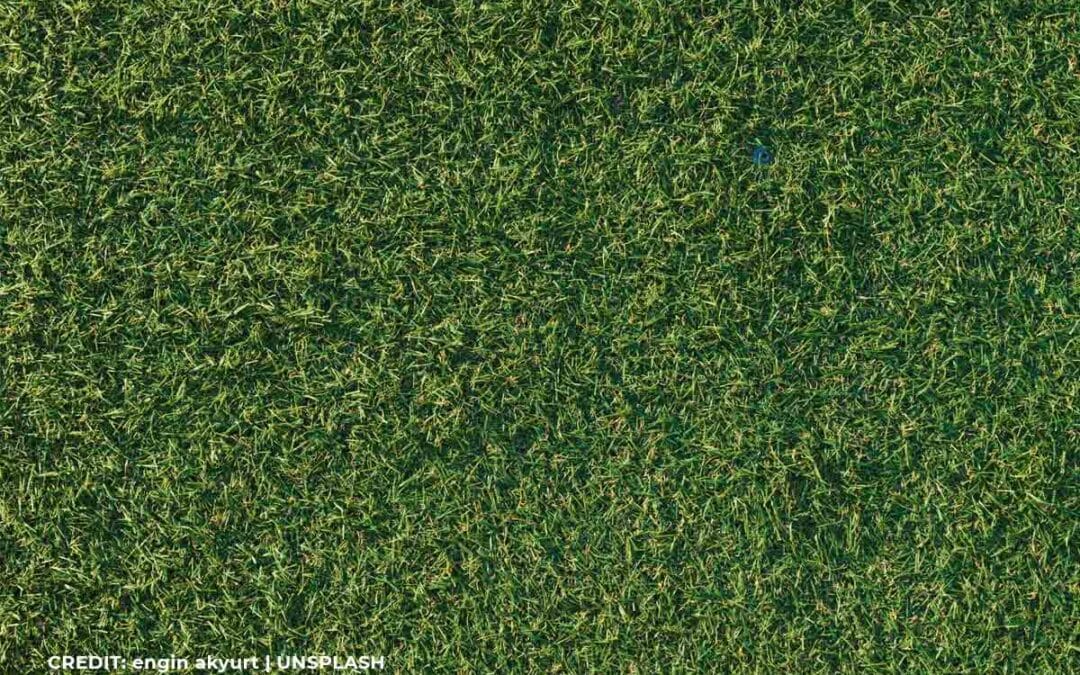 The Cost of Synthetic Grass: Is it a Worthwhile Investment?