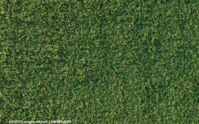 The Cost of Synthetic Grass: Is it a Worthwhile Investment?