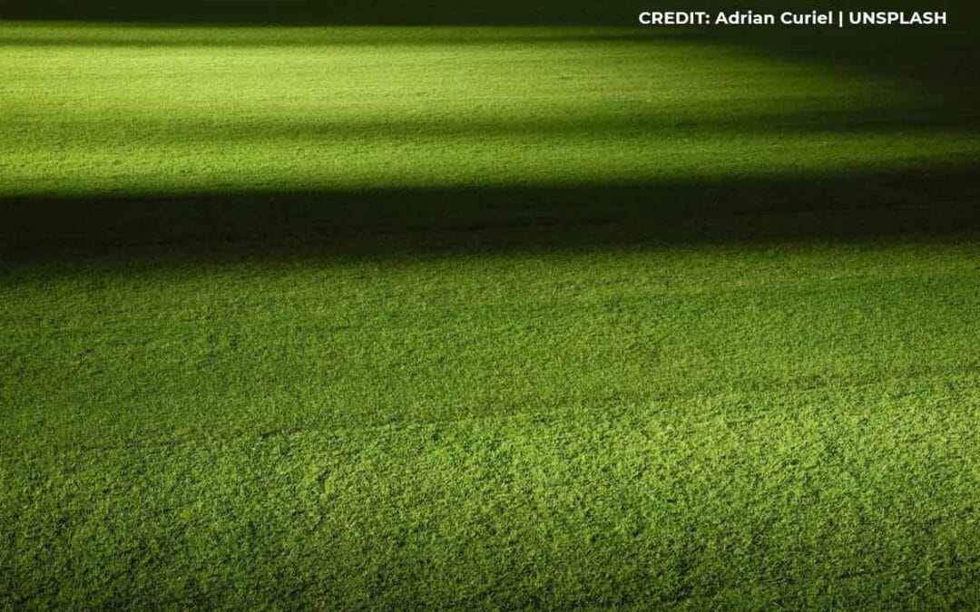 Transform Your Space: Creative Landscaping with Artificial Turf