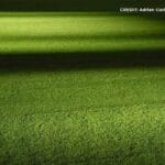 Transform Your Space: Creative Landscaping with Artificial Turf