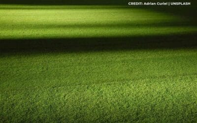 Transform Your Space: Creative Landscaping with Artificial Turf