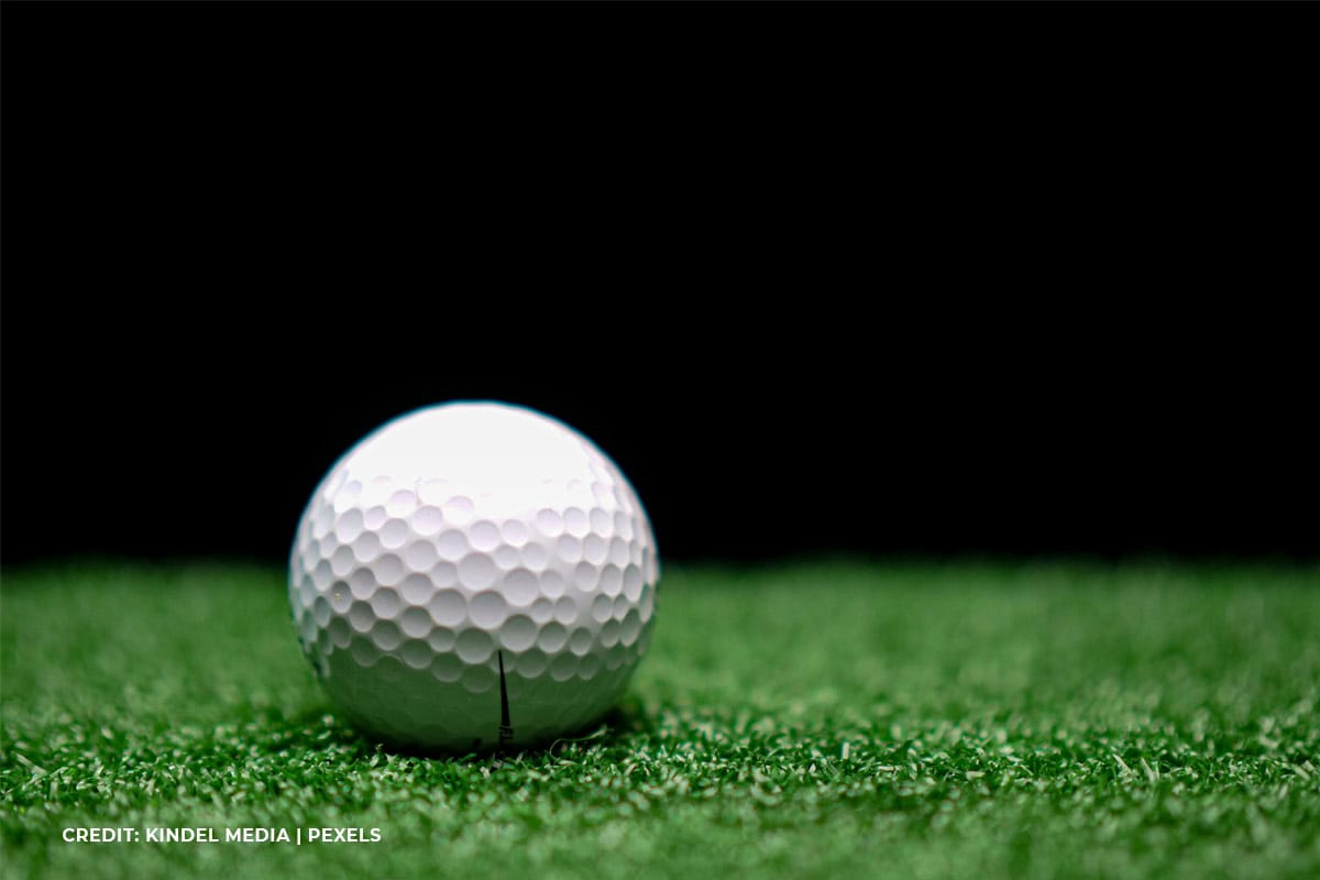 Understanding Synthetic Turf Materials